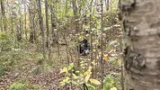 A forest whore seduced a forester with a big dick