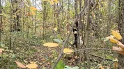A forest whore seduced a forester with a big dick