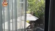 The pervert secretly masturbated to his new neighbor, but she CAUGHT him and angrily came to him for a juicy fuck