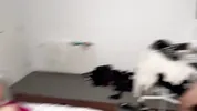 A Wild Orgy!! Everyone Wanted to Fuck Those Two Gorgeous Asses in the Room