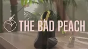 THIS BEAUTY SACKED MY COCK JUIC- TheBadPeach | VixXxie Rox