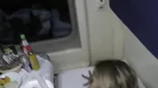 Anal Train