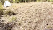 Hot Blonde Gets Roughly Fucked in a Tent to Orgasm