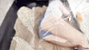 Hot Blonde Gets Roughly Fucked in a Tent to Orgasm