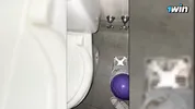 Slutty girl fucking on PARTY BATHROOM | Argentina