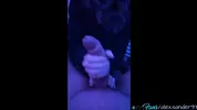 college girls snapchat compilation of dirty fucking [2]