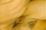 Busty slut aroused in her hairy pussy by a big cock