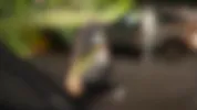 Real amateur, THREE COCKS in a parking. My FIRST CAR SEX experience turns into a gang bang