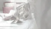 Hot Frieren seduces you with her sweet and juicy pussy