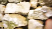 PornVLOG - We fuck in a NATURIST campsite. (Inside CREAMPIE)