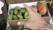 Carne Del Mercado Picked Up And Fucked By Stranger