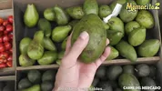 Carne Del Mercado Picked Up And Fucked By Stranger