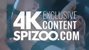 Gia Derzas Shaved Pussy Gets Spoiled By A Huge Dick