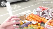 Latina Fruit Vendor Approached Outdoors, She Agrees to Leave With Him... What Happens Next Is Wild