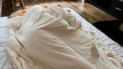 Husband wakes his wife up with fingers and cock