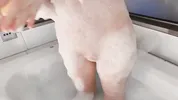 I bathed and washed my female dog