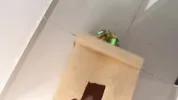 Mi hermanastra me pide regalo e cumpleaños y le doy una dua folada