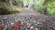 Petite Desi Mia Z masturbates on a hike in NZ