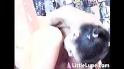 Little Lupe with Lesbian Babe Licks Pussies