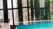 My neighbors are taking a shower on the patio. I must go there to see it up close