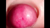 CLOSE UP: NEW HOTTEST CUM COMPILATION! Best PUSSY for Your CUMSHOTS! Multiple CREAMPIES and ORGASMS!