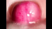 CLOSE UP: NEW HOTTEST CUM COMPILATION! Best PUSSY for Your CUMSHOTS! Multiple CREAMPIES and ORGASMS!
