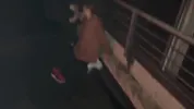 Bisexual Threesome with a Stranger - Outdoor at Night