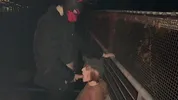 Bisexual Threesome with a Stranger - Outdoor at Night
