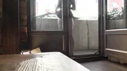 Hot beautiful European College Girl comes for a fashion photo shoot turns out it was porn casting