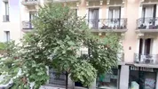 Nomadic Babe Stella Gray Finger Fucks Herself in Madrid
