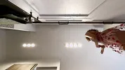 Super hot girl in no panties in a fully see through transparent dress in the kitchen to flash pussy