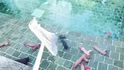 I swim in a pool full of dicks
