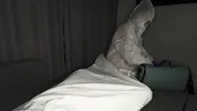 My dream came true. I fucked a nurse!