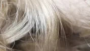 Risky Aftternoon Quicky Creampie