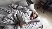 Stepdad was shocked when he returned home