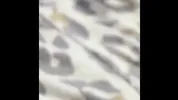 Husband recorded me and his friend coworker having sex with me shared.