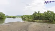 I have a threesome with my boyfriend and his friend on the beach