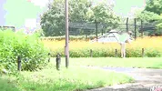 Hot Japanese Chick Mizuki Is Picked Up and Fucked