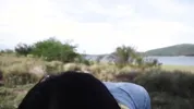 I fuck an asshole Argentina and I end up inside Creampie