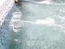 آجیم بعد شنا ازم حوله خواست جلو خودمو نتونستم بگیرم