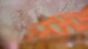 Chloe James Fucks Herself With a Dildo
