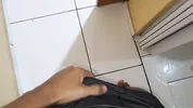 I went to visit my friend and I caught his sister masturbating and I fucked her in secret