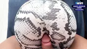 cumshot on leggings /rubbing cock on fitness model with a perfect Ass /CandyLuxxx