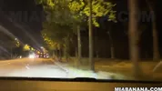I WORK THE STREETS AND GET FUCKED IN THE WOOD