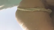 I fuck my step sister on the beach