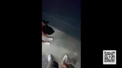 Date night went too well - blowjob on street! Tonny and Mia
