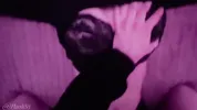 I tore the Goth girl's tights and fucked her