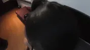 POV: Ruby's amazing tatted body gets used after she sucks balls and cock
