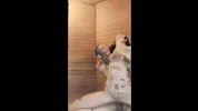 In the sauna everything got hotter. In the sauna everything got warmer