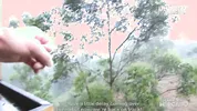 Slim Babe Adriana Betancur Picked Up From The Streets For Steamy Sex - CARNE DEL MERCADO